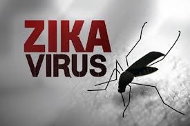 Bảo vệ môi trường sống để phòng chống dịch bệnh do virut zika (14/12/2016)